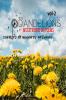 Dandelions:Multiverse of Poems-Volume 2