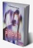 A True Love Story - Vol II : A Romantic Novel