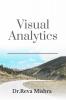 Visual Analytics