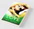 Wild in Love: An Indian Air Force Romance #2
