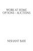 Work At Home Options – Auctions