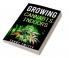 Growing Cannabis Indoors : Grow Your Own Marijuana Indoors Using This Easy-to-Follow Guide (2022 Crash Course for Beginners)