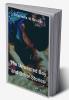 The Unwanted Boy and Other Stories