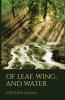Of Leaf Wing and Water