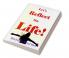 Let’s Reflect on Life!