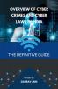 Overview of Cyber Crimes and Cyber Laws in India : The Definitive Guide