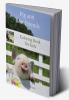 Animal Best Friends Coloring Book for Kids: A Cute Farm Animal Coloring Book for Kids Ages 3-8 | Super Coloring Pages of Animals on the Farm |Animal Best Friends Activity and Coloring Book for Boys...
