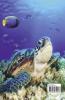 Turtle Coloring Book for Adults: Stress Relieving Turtle Designs for Adults | 46 Premium Coloring Pages with Amazing Designs | An Adults Turtle Coloring Book with Sea Turtles | Relaxation Meditati...