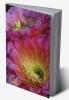 Floral Luxury Coloring Book for Adults: 50 Premium Floral Designs Stress Relieving | Friendly and Relaxing Floral Art | Amazing Flowers Coloring Book for Adults Stress Relief and More