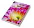 Floral Luxury Coloring Book for Adults: 50 Premium Floral Designs Stress Relieving | Friendly and Relaxing Floral Art | Amazing Flowers Coloring Book for Adults Stress Relief and More