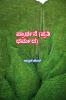 Prayer (in every religion) / ಪ್ರಾರ್ಥನೆ (ಪ್ರತಿ ಧರ್ಮದ)