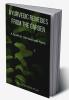 Ayurvedic Remedies from The Garden : A Guide to 108 Medicinal Plants