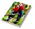 Parrot Coloring Book for Kids: Children Coloring and Activity Book for Girls & Boys Ages 3-8 | 30 State Parrotss and Nature | Beautiful Parrotss Coloring and Activity Book | Dover Nature | Amaz...