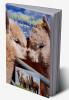 Llama and Alpaca Coloring Book for Kids: Cute Llama and Alpaca Coloring Book for Kids Ages 4- 8 | A Unique Collection with Llama and Alpaca Illustrations | Funny Activity Book for Kids | Amazing Gi...