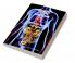 Human Anatomy Coloring Book for Kids: Human Body Activity and Coloring Book for Kids Ages 8 and Up | My First Human Body Parts and Human Anatomy Coloring Book
