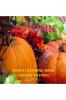 Autumn Adult Coloring Book Luxury Edition: Strees Relieving Illustrations for Autumn Lovers | Relaxation Meditation and Happiness with Autumn Desings to Color | Dover Nature