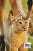 Cute Lion Coloring and Scissor Skills Activity Book: A Cute and Unique Coloring  and Scissor Pages with the King of Jungle for Boys Girls and Kids Ages 3-8 | Lion Coloring and Scissor Skills Book ...