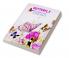 Butterfly Coloring and Scissor Skills Activity Book: Children Coloring and SScissor Skills Book for Girls &amp; Boys Ages 3-8 | Amazing Gift for Kids | Beautiful Butterfly Coloring and Scissor Page...