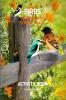 Birds Coloring and Scissor Skills Activity Book: Children Coloring and Scissor Skills Book for Girls & Boys Ages 3-8 | 25 State Birds and Nature – Original Designs | Beautiful Birds Coloring an...