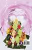KAPPIYA'S KIDS ZONE 2: Fruit Tales &amp; Songs
