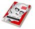 The Horror Book : Terrifying Scary and Creepy Illustrations for Adults' Relaxation
