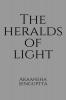 The Heralds Of Light : There's always hope embedded in the dark all you need is a little diggin' up to find it