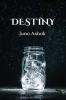 DESTINY : The set right force