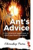 An Ant's Advice