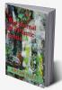 The Journal of a Plastic Bottle
