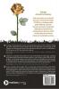 FOUND: Transforming Your Unlimited Ideas Into One Sustainable Business