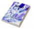 Tattoo Coloring Book