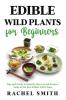 Edible Wild Plants for Beginners