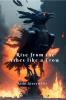 Rise from the Ashes like a Crow