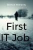 First IT Job: A Career Guide for Beginners