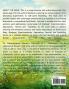 Biodiesel: Experimentation Approaches Results and Feasibility