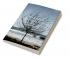 Threads of Resilience : A Journey Across Continents and Generations