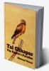 Tal Chhapar: The Raptor’s Paradise