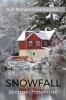 Snowfall : Alternate Perspective