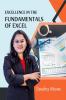 Excellence in the Fundamentals of Excel