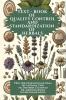 TEXT - BOOK OF QUALITY CONTROL AND STANDARDIZATION OF HERBALS