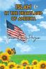 Islam In The  Heartland  Of America