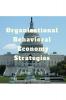 Organizational Behavioral Economy Strategies