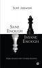 Sane Enough Insane Enough: Simple Answers to Life’s Complex Questions