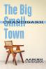 The Big Small Town: How life looks from Chandigarh