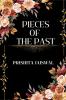 Pieces Of The Past