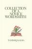 Collection Of A Novice Wordsmith