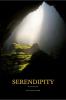 Serendipity: A journey of discoveries