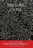 The Long Caper: A Time Travel Novel