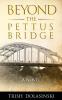 BEYOND THE PETTUS BRIDGE