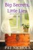 Big Secret Little Lies